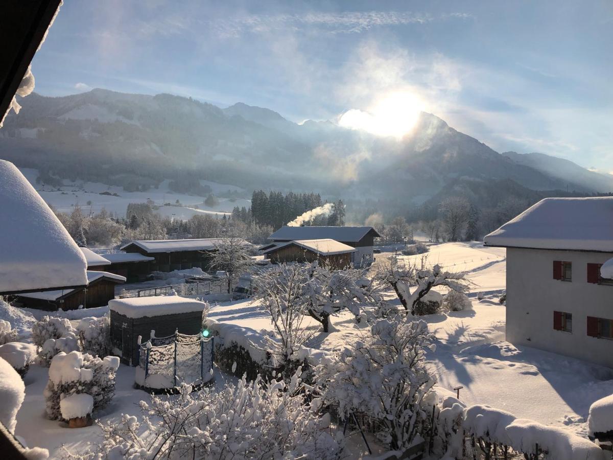 Gaestehaus Aurikel 16 *